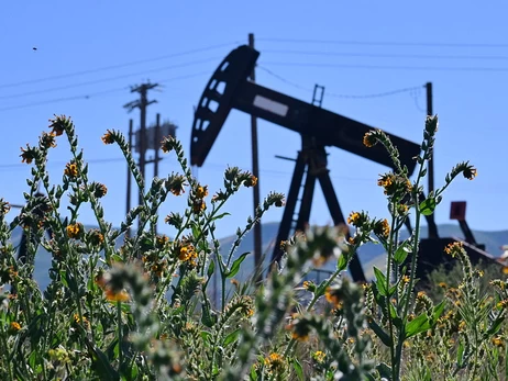 Дефицит продуктов питания и отказ от автомобилей: чем обернется топливный кризис