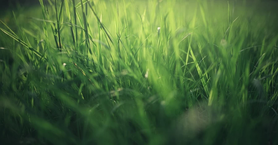 26 березня - яке сьогодні свято, що не можна сьогодні робити, День національної гвардії, все про цей день