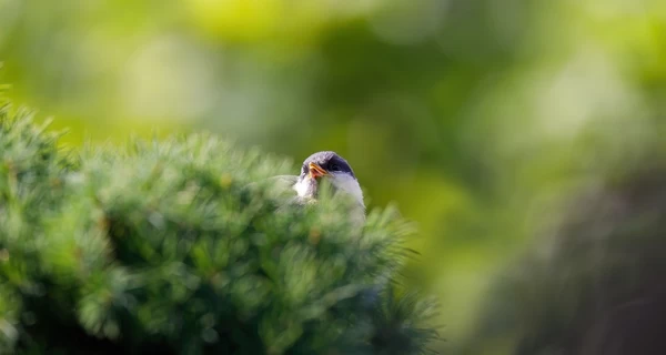 27 марта – Международный день театра, какой сегодня церковный праздник, что сегодня нельзя делать