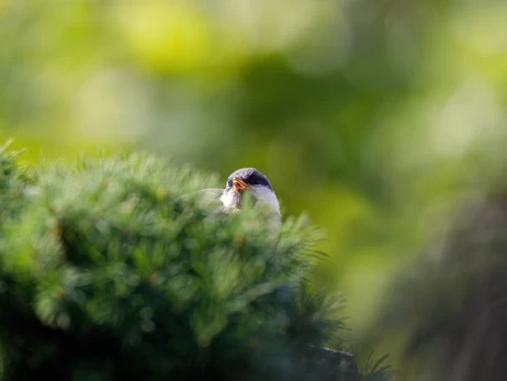 27 березня - Міжнародний день театру, яке сьогодні церковне свято, що сьогодні не можна робити