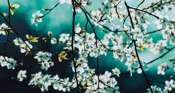 Погода в Украине 27 марта – завтра еще будет тепло, но идет серьезное похолодание