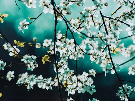 Погода в Украине 27 марта – завтра еще будет тепло, но идет серьезное похолодание