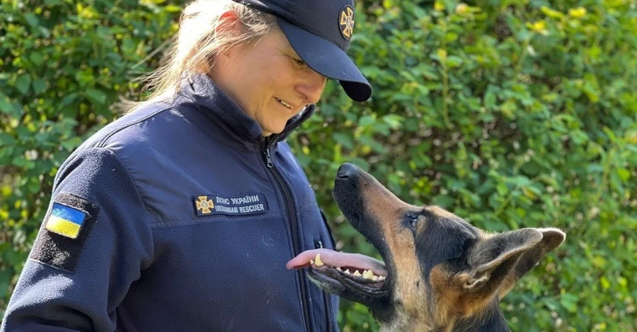 В Кропивницком умер пес-спасатель Дерек – он 12 лет служил в ГСЧС