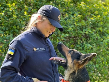 У Кропивницькому помер пес-рятувальник Дерек - він 12 років служив у ДСНС