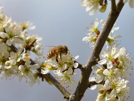 31 марта - какой сегодня церковный праздник, что нельзя делать, традиции и приметы