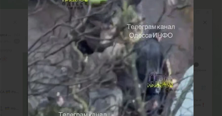 В Одессе мужчина ранил ножом работника ТЦК, тот применил оружие