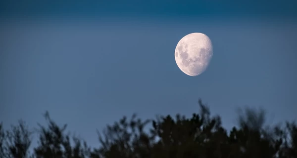 В начале апреля украинцы смогут увидеть 
