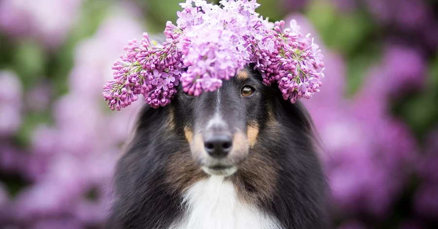 2 квітня - яке сьогодні свято, церковне свято сьогодні, що не можна робити, все про цей день