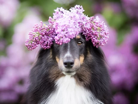 2 квітня - яке сьогодні свято, церковне свято сьогодні, що не можна робити, все про цей день