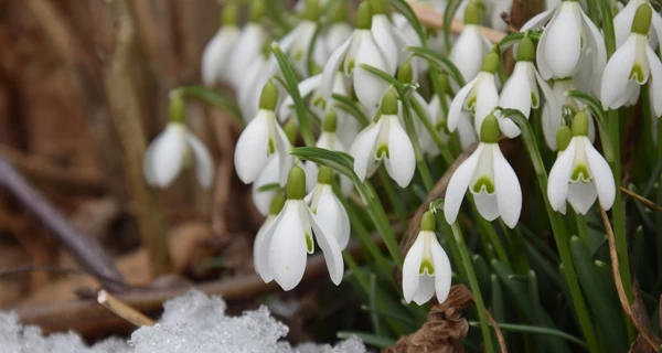 Март в Киеве установил уникальный рекорд - выпало всего 3% осадков от нормы