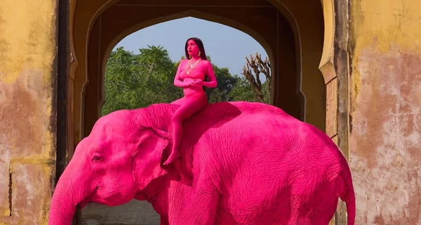 Скандал в Индии: россиянка покрасила слона в розовый для фотосессии — вскоре он умер