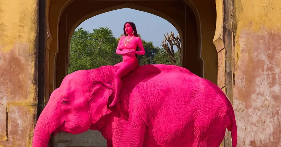 Скандал в Индии: россиянка покрасила слона в розовый для фотосессии — вскоре он умер