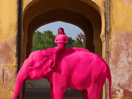 Скандал в Індії: росіянка пофарбувала слона у рожевий для фотосесії — невдовзі він помер