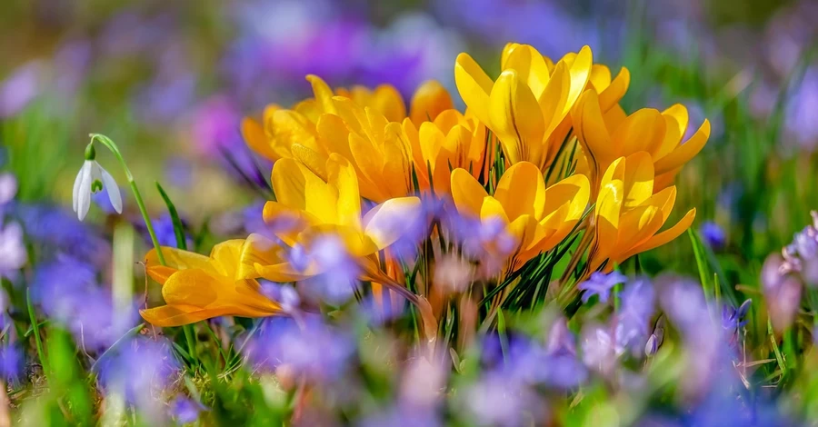 3 квітня - яке сьогодні свято, що не можна робити, традиції та прикмети на цей день