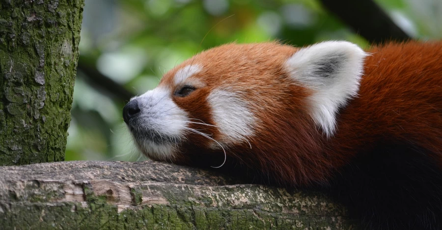 4 апреля - какой сегодня церковный праздник, что сегодня нельзя делать, традиции и приметы, все об этом дне