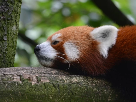 4 квітня - яке сьогодні церковне свято, що сьогодні не можна робити, традиції та прикмети, все про цей день