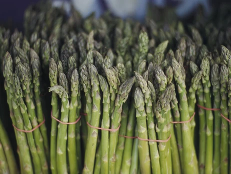 500 гривень за пучок: чому спаржа тримається у тренді і як її вирощують фермери