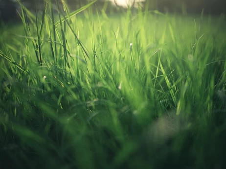 10 апреля в Украине прогнозируют заморозки и мокрый снег