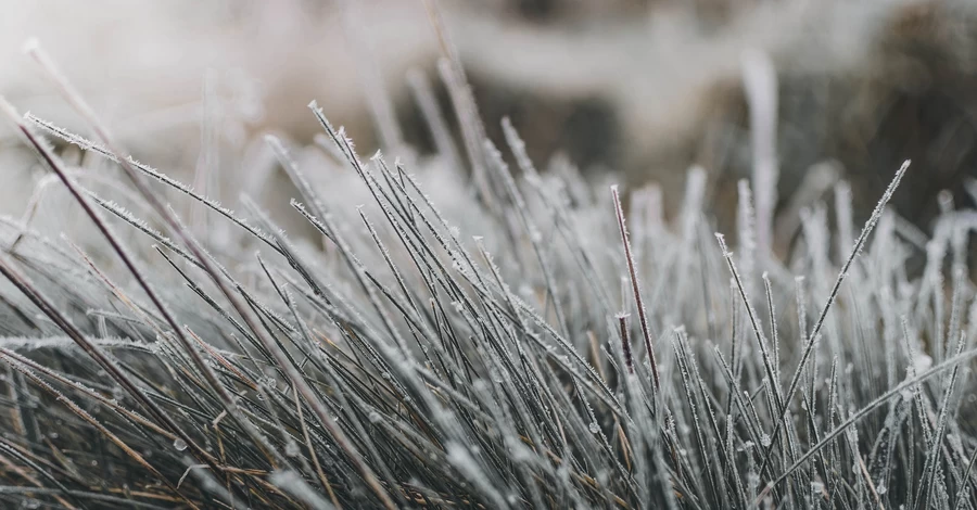 У Львові зафіксували найхолоднішу ніч за 40 років