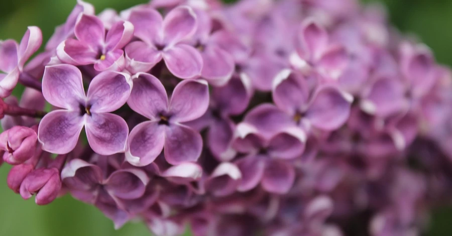 14 апреля – какой сегодня церковный праздник, что сегодня нельзя делать, традиции и приметы этого дня