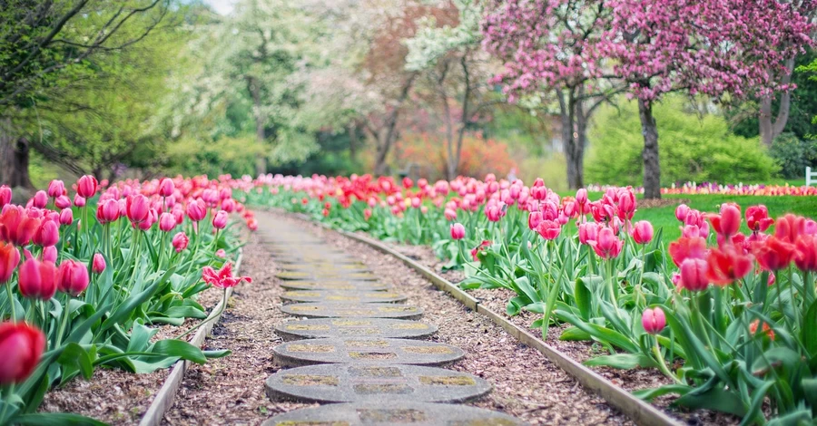 Погода в Украине 16 апреля - будет тепло, солнечно и сухо