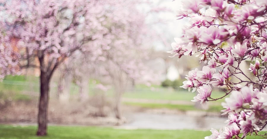 17 апреля – какой сегодня праздник, что нельзя делать, традиции и приметы сегодня