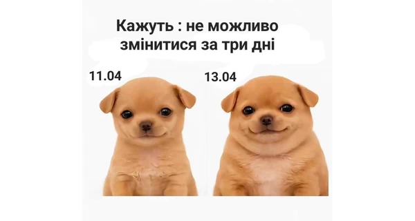 Анекдоти та меми тижня: сезон «Худнемо до літа» - офіційно відкрито