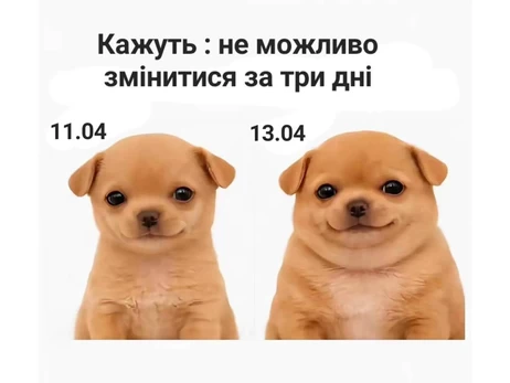 Анекдоты и мемы недели: сезон «Худеем к лету» - официально открыт