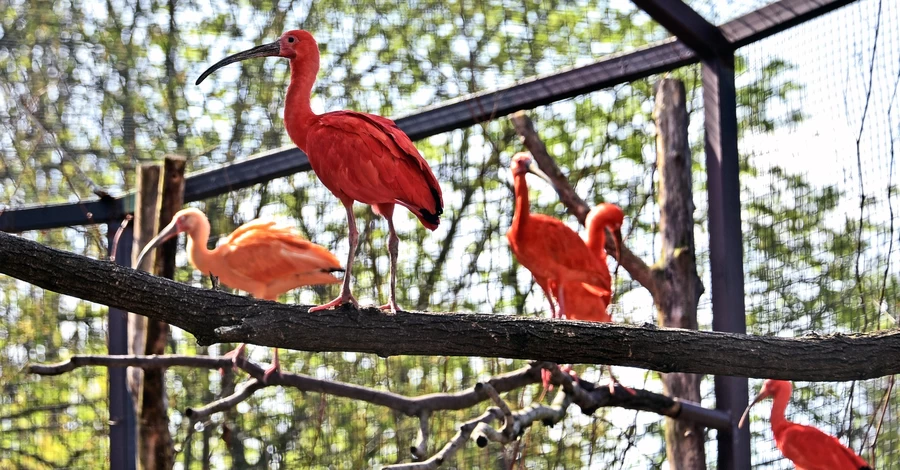 На летнюю площадку 