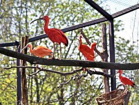 На летнюю площадку 