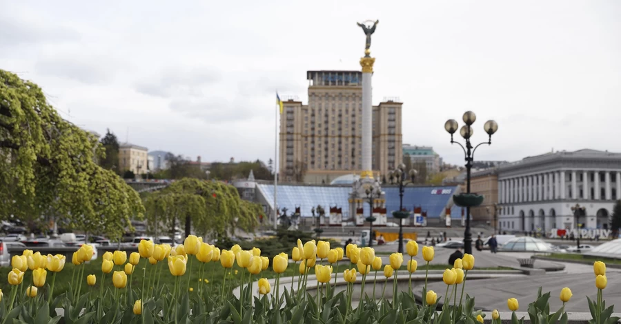 У Києві розпочалося цвітіння тюльпанів, подарованих Нідерландами