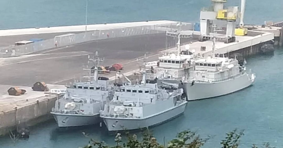 Украинские «охотники за минами» могут отправиться на Ближний Восток — что известно