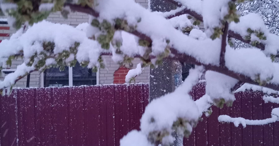 Аномальні холоди в Україні – посеред весни снігом засипало Дніпропетровщину та Суми 