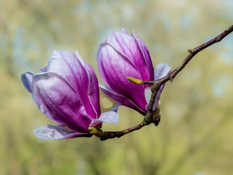 25 квітня - яке сьогодні церковне свято, що не можна робити, традиції, прикмети, все про цей день
