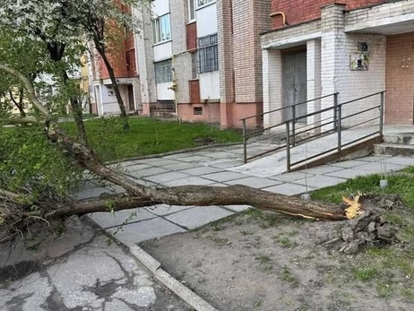 В Ивано-Франковске и Луцке ветер сносит деревья, а во Львове - выпал снег