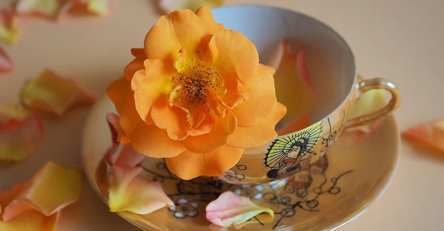 30 квітня - яке сьогодні церковне свято, що не можна робити сьогодні, традиції і прикмети