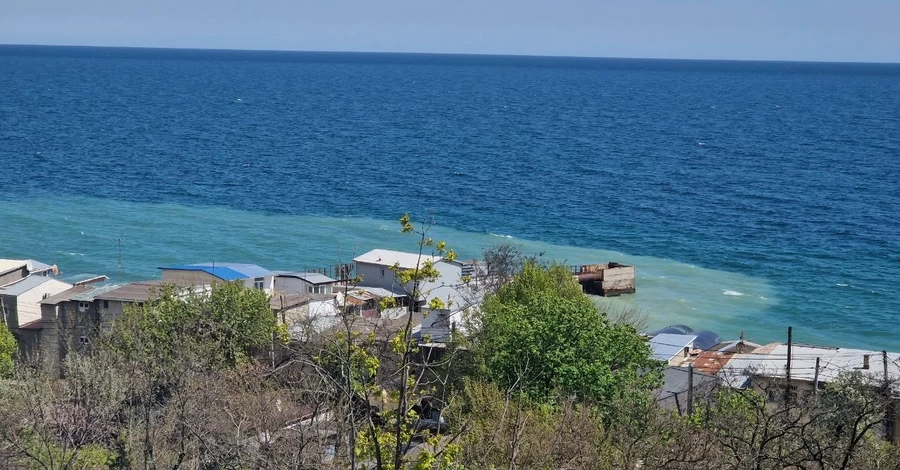 В Черном море после атаки РФ зафиксировали масштабное загрязнение маслом – до 800 км²