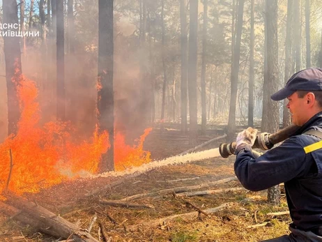 Лесной пожар в Чернобыле продолжает распространяться, этому способствует погода