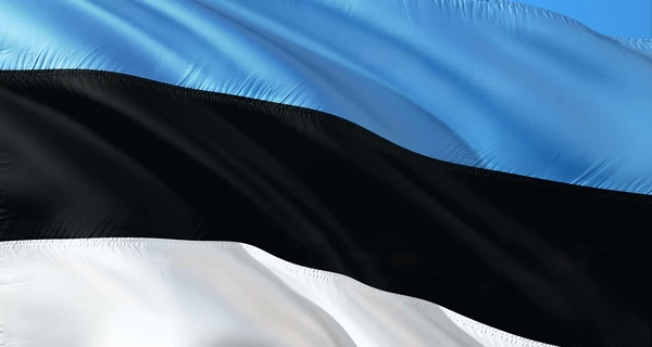 Эстония призвала Украину лучше контролировать дроны после нарушений воздушного пространства