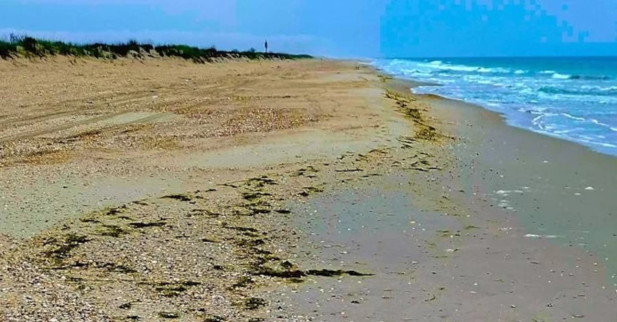 Растительное масло доплыло в нацпарк 