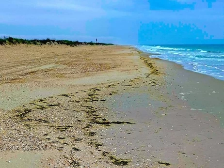 Растительное масло доплыло в нацпарк 