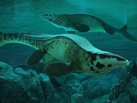 Ученые открыли новый вид гигантских рептилий – морской T. rex