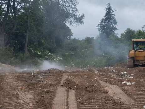 Во Львове молния попала в дерево возле кладбища, возник пожар