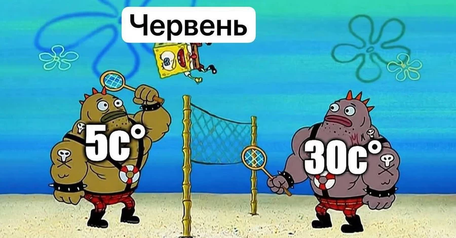 Анекдоты и мемы недели: маки, поляки и Крым без бензина