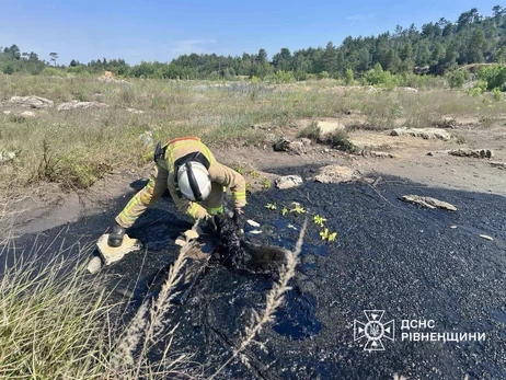 На Рівненщині рятувальники визволили песика, який застряг у смоляній пастці