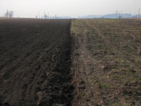 Підстав для зростання цін на сільськогосподарську землю немає: бульбашку надувають посередники - ЗМІ