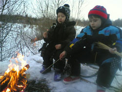 Власти ищут замену газу 