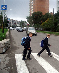 В Москве отменят зебры 