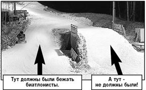 Бьорндален заблудился в трех соснах 