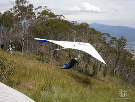 Под Днепропетровском разбился дельтапланерист 
